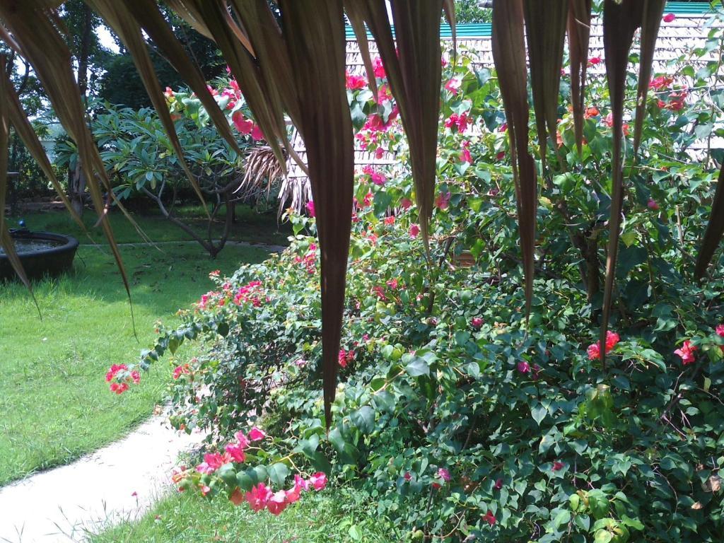Ban Sabai Sabai Guest House Καντσαναμπούρι Εξωτερικό φωτογραφία